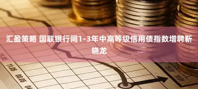 汇盈策略 国联银行间1-3年中高等级信用债指数增聘靳晓龙