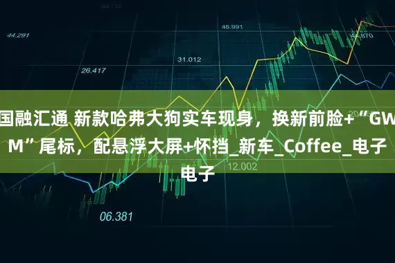 国融汇通 新款哈弗大狗实车现身，换新前脸+“GWM”尾标，配悬浮大屏+怀挡_新车_Coffee_电子