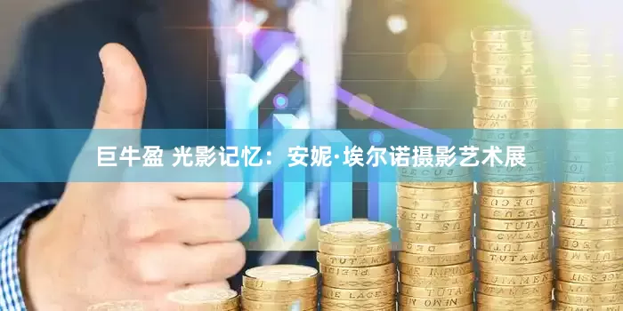 巨牛盈 光影记忆：安妮·埃尔诺摄影艺术展