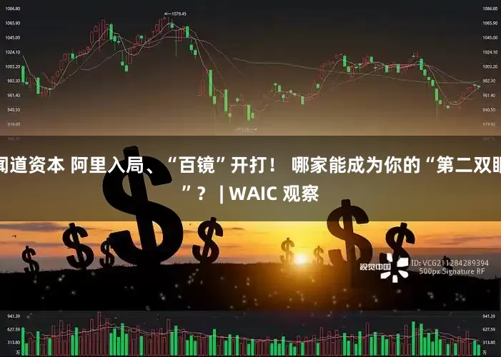 闻道资本 阿里入局、“百镜”开打！ 哪家能成为你的“第二双眼”？ | WAIC 观察