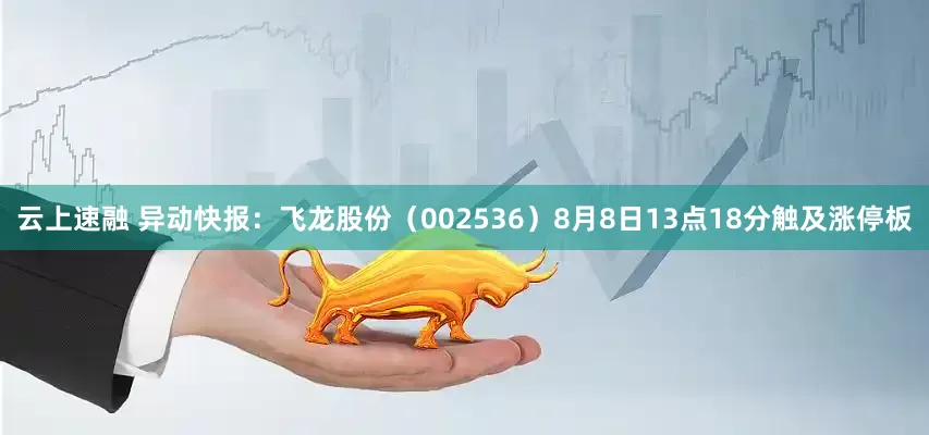 云上速融 异动快报：飞龙股份（002536）8月8日13点18分触及涨停板